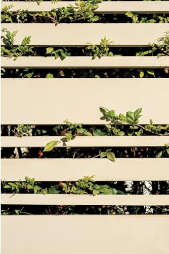 Notebook: 6x9 lined notebook